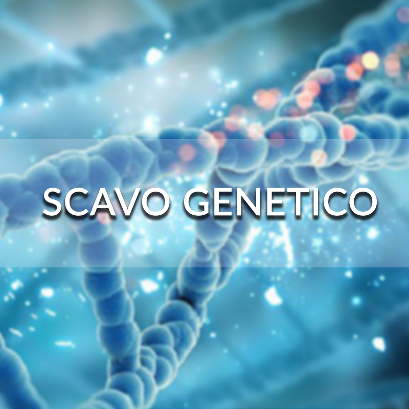 Scavo Genetico - AVANZATO/          PROFESSIONAL