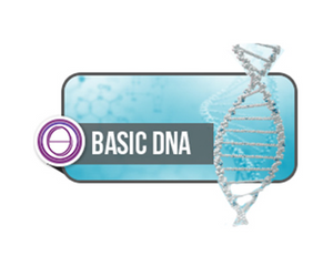 Osnovni DNK