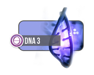 DNK 3