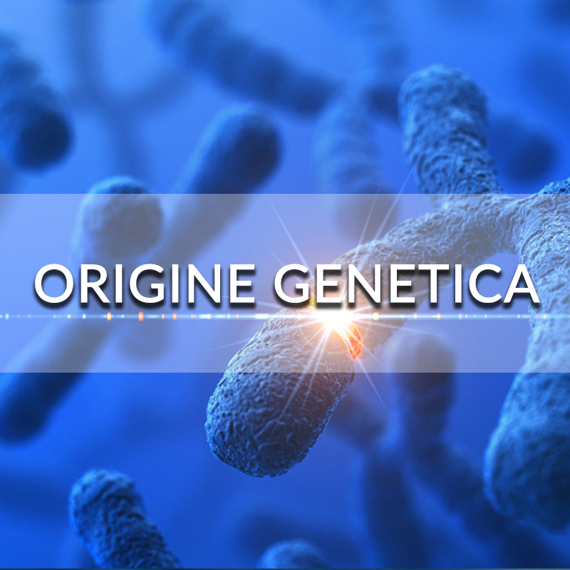 Completa le Malattie 3 - Di Origine Genetica